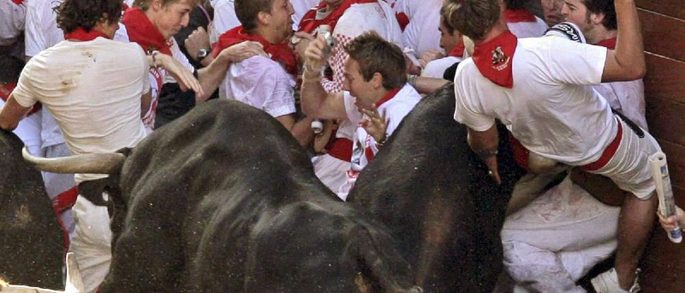 Pamplona