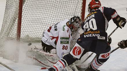 eisbaeren_dpa
