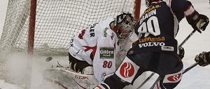 eisbaeren_dpa