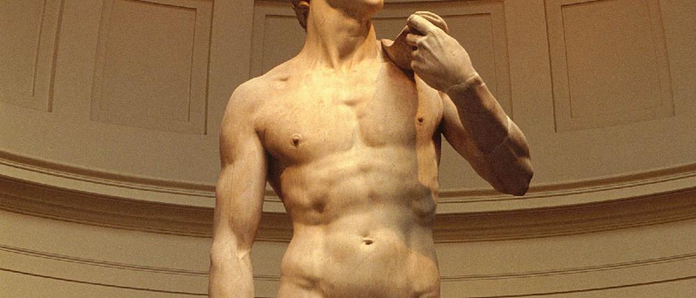 david