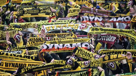 fans dynamo dresden