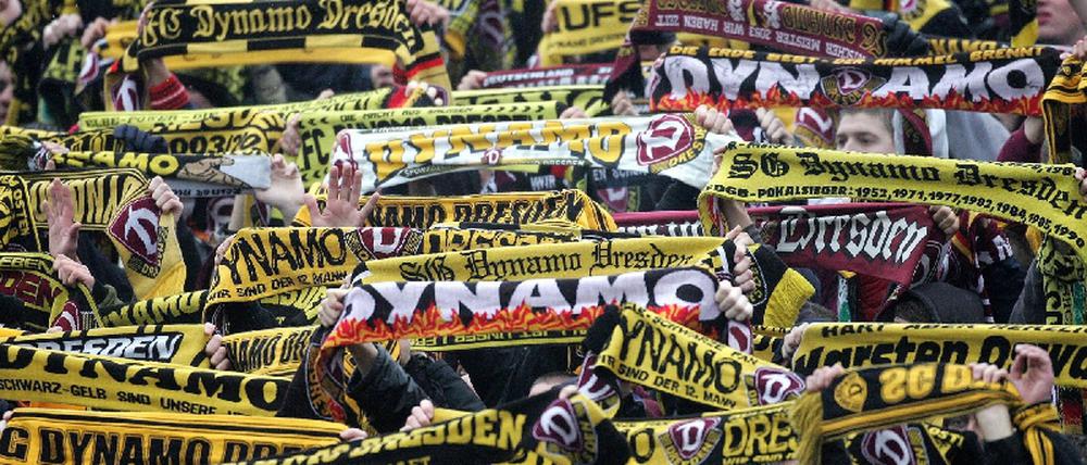 fans dynamo dresden