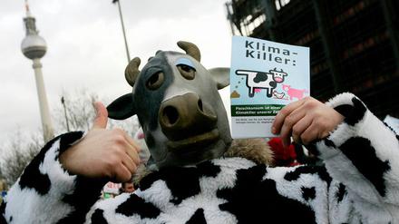 Klimaschutz-Demo