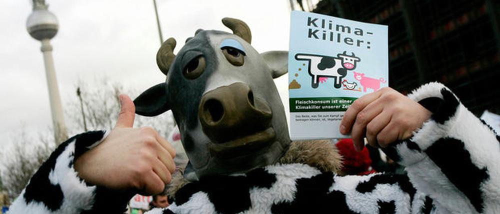 Klimaschutz-Demo