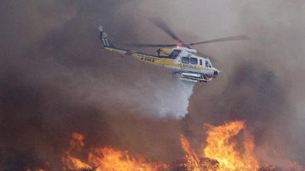 071022waldbrand