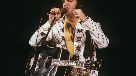 Elvis