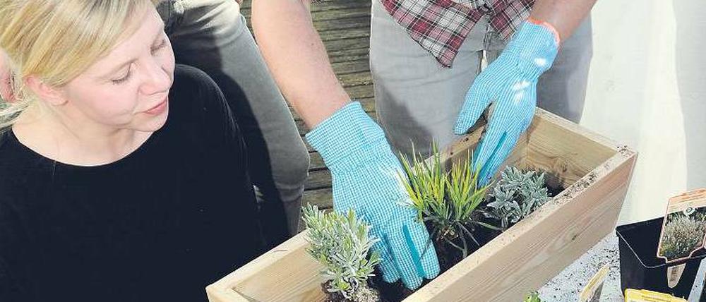 Frühling vorm Balkon. Katrin Schübel vom Start-up „Etagen-Erika“ hilft ihrem ersten Kunden bei der Begrünung.