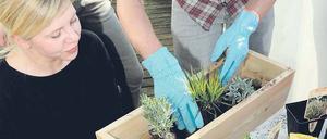 Frühling vorm Balkon. Katrin Schübel vom Start-up „Etagen-Erika“ hilft ihrem ersten Kunden bei der Begrünung.