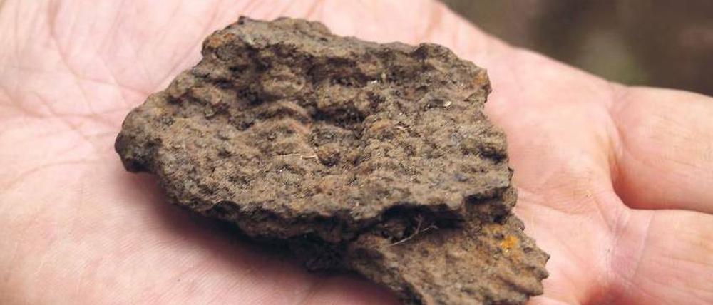 Eine Handvoll Geschichte. Bei Grabungen auf dem historischen Schlachtfeld „Harzhorn“ bei Kalefeld wurden Reste eines römischen Kettenhemdes gefunden. 