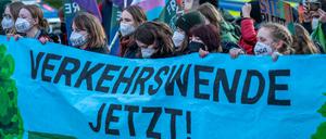 Erste große Demonstration von Fridays for Future, in der Corona Pandemie, gegen das Abholzen des Sterkrader Waldes, für eine Vergrößerung des Autobahnkreuz Oberhausen, wo bis zu 5000 Bäume gefällt werden sollen, NRW, Deutschland, Friday for Future Demo
