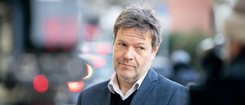 Grünen-Chef Robert Habeck.