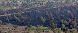 Verbrannter Boden ist bei einem Löschflug der Luftwaffe zu sehen. 