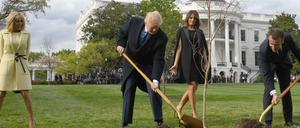 Trump und Macron pflanzen (beobachtet von ihren Ehefrauen) im April 2018 eine Eiche im Garten des Weißen Hauses 