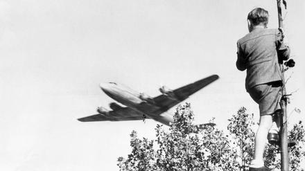 Archiv - Ein Junge verfolgt von einem Baum aus den Landeanflug eines US-amerikanischen Transportflugzeugs auf den Berliner Flughafen Tempelhof. Die Maschine bringt Versorgungsgüter nach West-Berlin. Als Reaktion auf die Währungsreform in den Westsektoren am 23.6.1948 verhängte die UdSSR am 24.6.1948 eine Blockade über Berlin. Alle Land- und Wasserwege wurden für den Personen- und Güterverkehr zwischen West-Berlin und Westdeutschland gesperrt. Die Versorgung der Westberliner Bevölkerung und der westalliierten Besatzung erfolgte daraufhin durch eine von den USA und Großbritannien errichtete Luftbrücke. Die Blockade wurde am 12. Mai 1949 aufgehoben. Foto: dpa (zu dpa «Vor 65 Jahren: Berlin gedenkt des Endes der Berliner Luftbrücke» vom 11.05.2014) +++(c) dpa - Bildfunk+++ | Verwendung weltweit