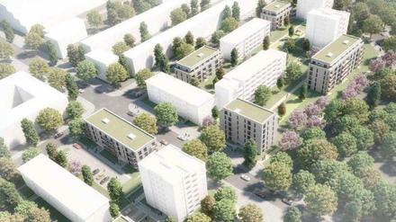 Zwei neue Gebäude sollten auf der Cornelsenwiese (rechts) gebaut werden. 