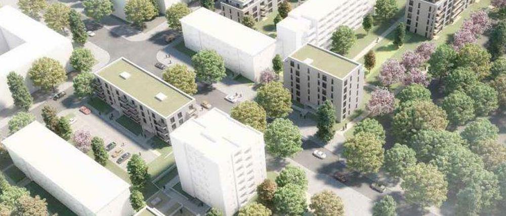 Zwei neue Gebäude sollten auf der Cornelsenwiese (rechts) gebaut werden. 