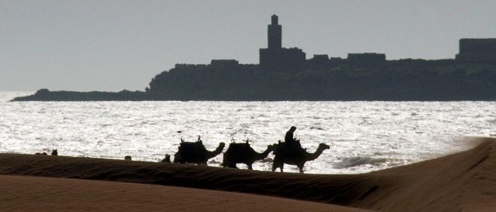 Marokkanische Idylle: Kamelreiter am Strand von Essaouira. 