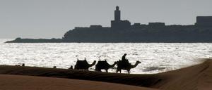 Marokkanische Idylle: Kamelreiter am Strand von Essaouira. 