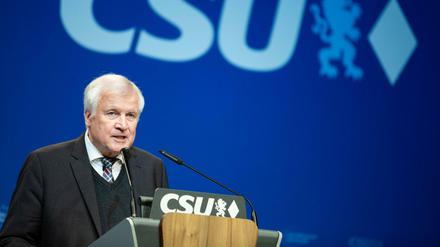 Kritik unerwünscht: Bundesinnenminister Horst Seehofer (CSU). 