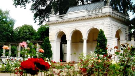 Der Rosengarten im Bürgerpark in Pankow.