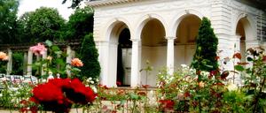 Der Rosengarten im Bürgerpark in Pankow.