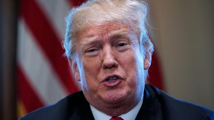 US-Präsident Donald Trump will die heimische Stahl- und Aluminium-Industrie mit Zöllen schützen.