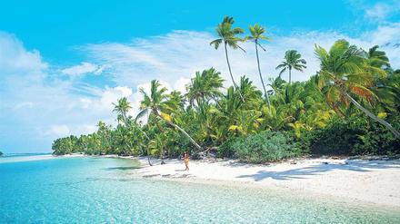 Paradies für Geldwäscher. Deutschland konkurriert mit tropischen Steueroasen. 
