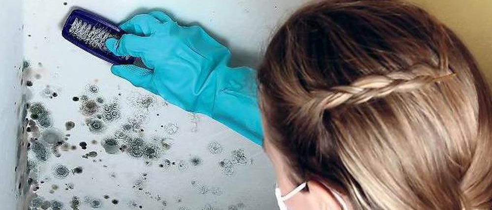 Kühlen Räume aus, schlägt sich Luftfeuchtigkeit an kalten Wänden nieder, was Schimmel begünstigt. Moderne Fensterrahmen, die luftdicht abschließen, können diesen Zug verstärken, wenn die Außen- und Innenwände nicht gedämmt sind.