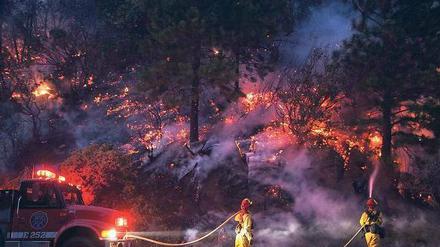 Feuerwehrleute kämpfen am Rande des Yosemite-Nationalparks gegen die Flammen. Waldbrände und Flutkatastrophen suchen derzeit viele Teile des Planeten heim. 