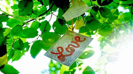 So geht's los: Irgendwelche Hippies hängen lustig-romantische Zettel in einen Baum. Wenn an gleicher Stelle fünf Jahre später ein teures Luxuswohnprojekt steht, jammern sie. Dabei sind sie selbst schuld!