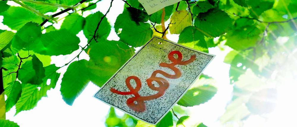 So geht's los: Irgendwelche Hippies hängen lustig-romantische Zettel in einen Baum. Wenn an gleicher Stelle fünf Jahre später ein teures Luxuswohnprojekt steht, jammern sie. Dabei sind sie selbst schuld!