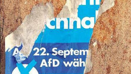 Zerstört: Ein Wahlkampfplakat der „Alternative für Deutschland“. 
