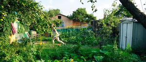 Kleingärten zählen zu den Grünflächen, die mit dem Bürgerentscheid unter Schutz gestellt werden sollen.