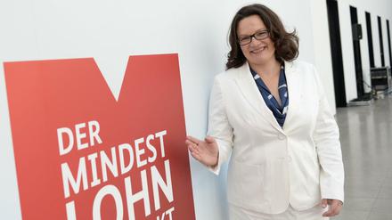 Bundesarbeitsministerin Andrea Nahles (SPD)