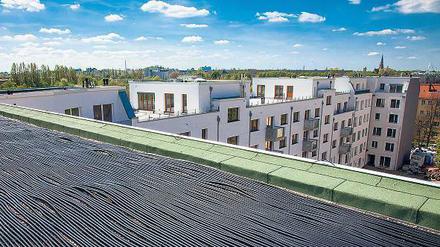 Erneuerbare Energien müssen nicht immer Hightech sein: Auf den Dächern der Neubauten an der Brehmestraße in Pankow sammeln lange Schlangen wassergefüllter schwarzer Rohre Sonnenwärme ein.