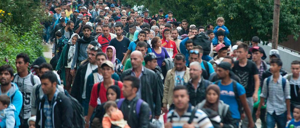Flüchtlinge laufen im September in Ungarn in Richtung der österreichischen Grenze bei Hegyeshalom. Das UNHCR erwartet in diesem Jahr weltweit mehr als 60 Millionen Flüchtlinge. 