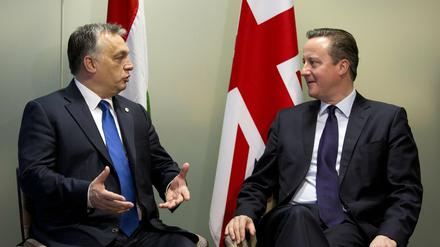 Vereint in Brüssel: Der ungarische Regierungschef Viktor Orban (links) und sein britischer Amtskollege David Cameron.
