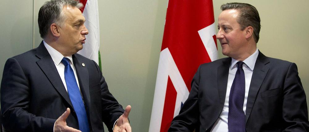 Vereint in Brüssel: Der ungarische Regierungschef Viktor Orban (links) und sein britischer Amtskollege David Cameron.