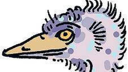 Schön sieht anders aus: der Emu.