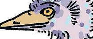 Schön sieht anders aus: der Emu.