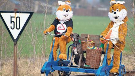 Warum Hasen die denn so? Willkommen in Zossen, kurz hinterm Berliner Stadtrand. Zwei Brandenburger rollen in bester Laune durch die Mark, mit dabei: „Goofy“, eine Deutsche Dogge. 