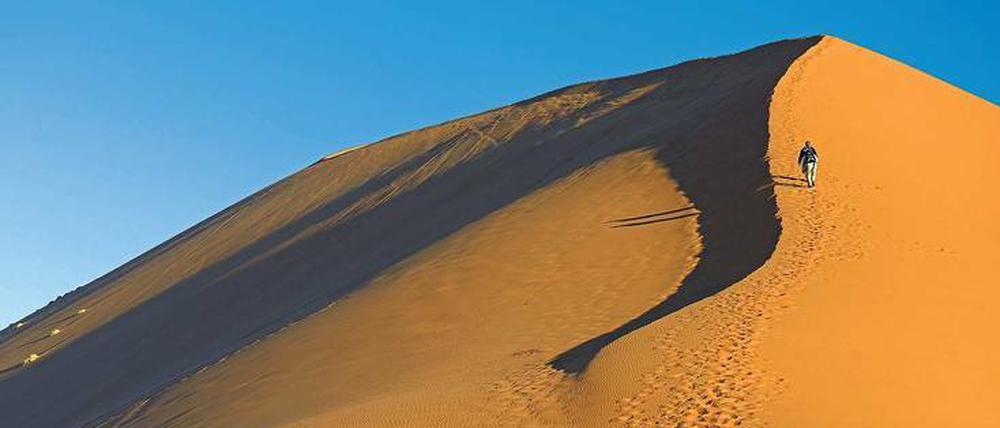 Düne frei. Die mit 170 Metern höchste im Sossusvlei hat nur eine Nummer: 45. Manche versuchen, sie bis zum Gipfel zu besteigen – und scheitern. Es ist einfach zu anstrengend. 