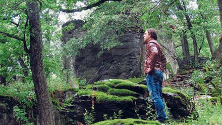 Grün und gesund: Im Wald des Taunus’ lässt sich besonders gute Luft schnuppern. 