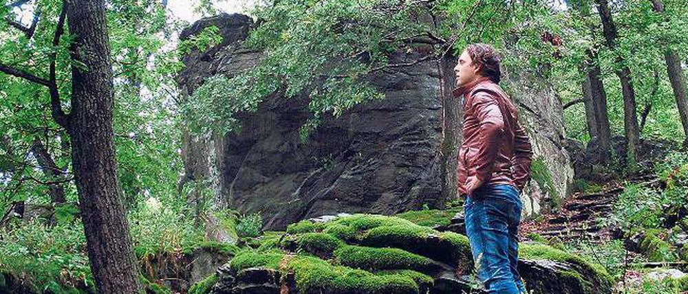 Grün und gesund: Im Wald des Taunus’ lässt sich besonders gute Luft schnuppern. 