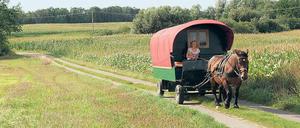 Die Zügel immer locker in der Hand des Kutschers, dann zieht Kaltblüter Mathilde das rollende Ferienhäuschen unbeirrbar durch Feld und Flur der Uckermark.