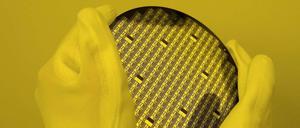 Grundlagenforschung können sich vor allem die Institute der vier großen Forschungsgemeinschaften leisten, monieren die Industrieforscher.