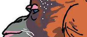 Sind große Hänger: Orang-Utans