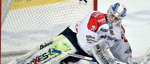 Scheibenfischer. Petri Vehanen hat in dieser Saison 41 Spiele absolviert, viermal blieb er dabei ohne Gegentor.