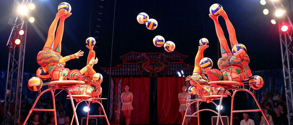 Der Besuch im Zirkus sorgt bei unserem Autor für Überraschungen.