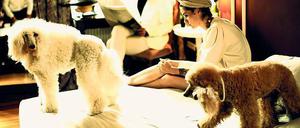 Bettgefährten. Janosch und Usti mit Nora Tschirner auf der Schmusematratze in Binz. im Hintergrund die Bandkollegen Tom Krimi und Erik Lautenschläger. Janosch trägt den Puppy Clip, Usti in Apricot die praktischere Modeschur. Eine Szene aus dem Songvideo "Film Noir" der Band Prag. 